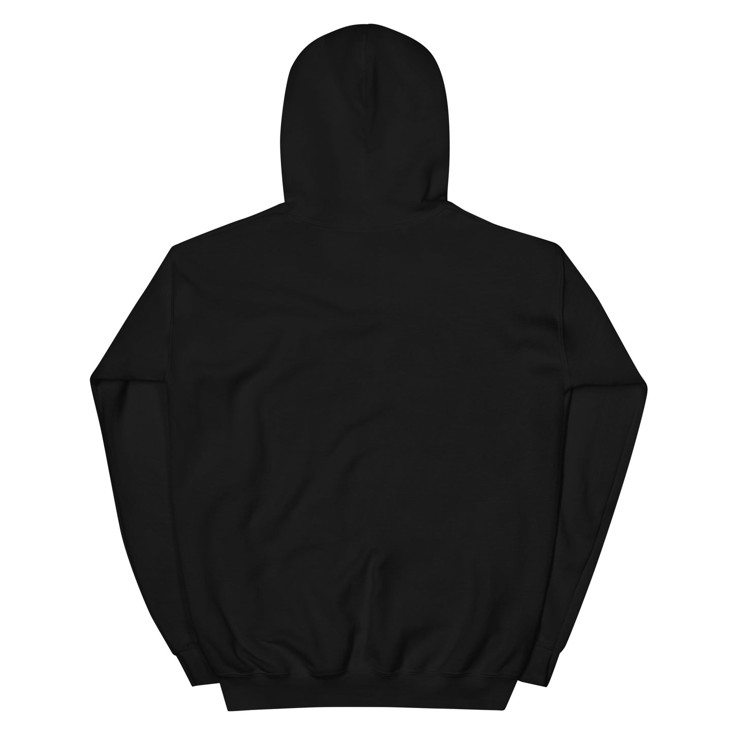 Reflections (Hoodie)